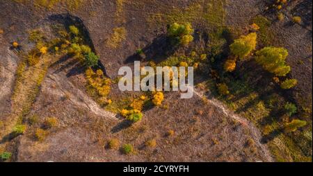 Draufsicht auf die bizarre Form der Schlucht mit Bäume wachsen auf sie während des Herbstblattes fallen Stockfoto