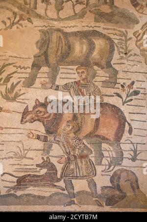 In Karthago, dem Korridor der Großen Jagd, Villa Armerina, Sizilien, mit Nashorn und Bär, zeigt er Szenen aus der Jagd aus dem antiken Rom. Stockfoto