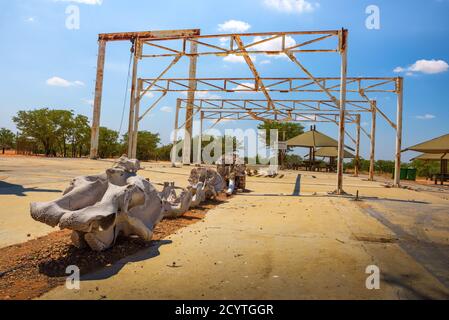 Alte Elefant Schlachthof an der Olifantsrus Camp im Etosha National Park, Namibia Stockfoto