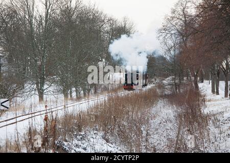 SCHMALSPURBAHN in Winterlandschaft bei Mariefred Södermanland Stockfoto