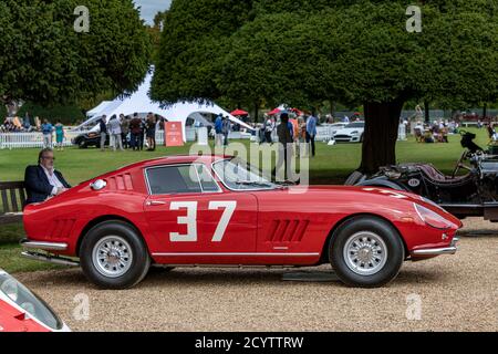 1965 Ferrari 275 GTB Competizioni Clienti (GEJ 5C), Concours of Elegance 2020, Hampton Court Palace, London, UK Stockfoto