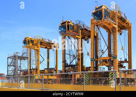 Eine Reihe von riesigen Straddle Carrier, Fahrzeuge entwickelt, um Transportcontainer zu bewegen. Fotografiert im Hafen von Auckland, Neuseeland, Januar 25 2020 Stockfoto