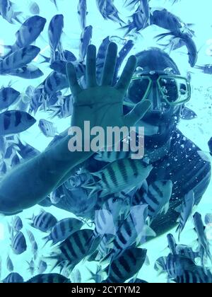 Taucher Mann in einer Schnorchelmaske zeigt offene Hand unter Wasser unter einer Schule von tropischen gestreiften Fischen auf einem hellblauen Wasser Hintergrund, Kopierraum. Stockfoto