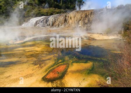 Orakei Korako Geothermie Gebiet, Neuseeland. Farbenfrohe Algenformationen vor der Terrasse 'Golden Fleece' Stockfoto