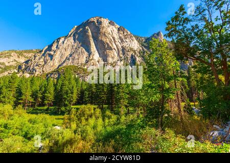 Panorama von Zumwalt Meadows Wandern im Kings Canyon National Park, einem großen Grasland im Wald mit Wildblumen mit der Umgebung hoch aufragend Stockfoto