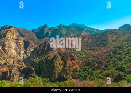 Kings River Canyon landschaftliches Panorama mit Mammutbäumen vom Highway 180 im Kings Canyon National Park, Kalifornien, USA, außerdem Stockfoto