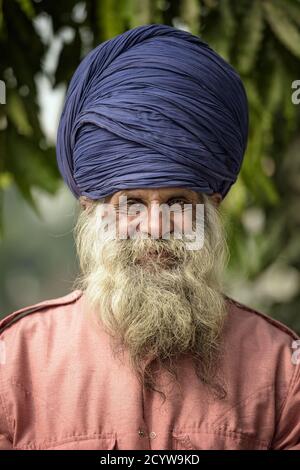 Porträt eines alten Sikh-Mannes indischer Herkunft mit weißem, buschigen Bart. Stockfoto
