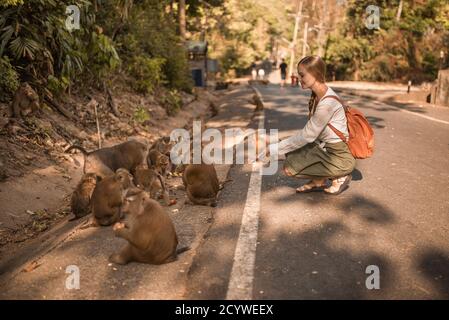 Kaukasische Reisende Frau mit kleinen intelligenten aktiven Affen in der Wild Stockfoto