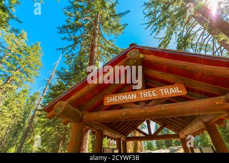 General Sherman Tree Trail Gate im Sequoia National Park, Sierra Nevada in Kalifornien, Vereinigte Staaten von Amerika. Der General Sherman Baum ist berühmt Stockfoto