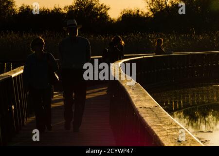 parque nacional Tablas de Daimiel, Ciudad Real, Castilla-La Mancha, españa, europa Stockfoto