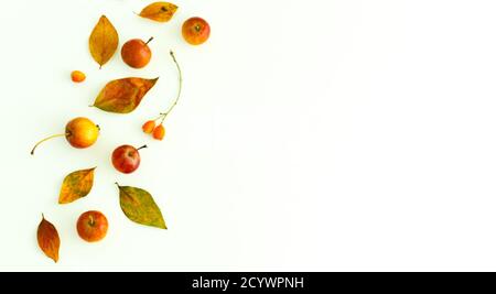 Herbstkomposition aus gelben und roten Blättern, Früchten und Beeren auf weißem Hintergrund. Herbstkonzept. Flach liegend, Kopierplatz Stockfoto