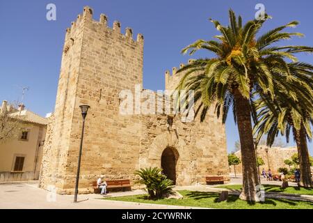 puerta de Xara,- puerta del Moll-, plaza Carles V, muralla medieval, siglo XIV, Alcudia, Mallorca, islas baleares, Spanien Stockfoto