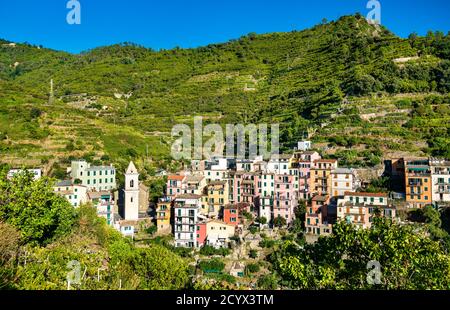 Manarola Village an der Cinque Terre in Italien Stockfoto