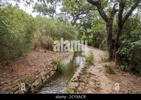 Altes acequia oder Séquia ein gemeinschaftsbetriebener Wasserlauf, der für die Bewässerung auf einem Pfad verwendet wird. Benahavis, Andalusien, Spanien. Stockfoto