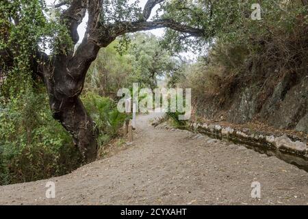 Altes acequia oder Séquia ein gemeinschaftsbetriebener Wasserlauf, der für die Bewässerung auf einem Pfad verwendet wird. Benahavis, Andalusien, Spanien. Stockfoto