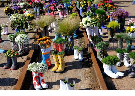 St Monan's, Schottland, Großbritannien. Oktober 2020. Schönes sonniges Wetter im Welly Boot Garden in St. Monan's, Fife. Der Gummistiefel-Garten begann als Teil der Strategie des Dorfes, wunderschöne Fife und schöne Schottland Auszeichnungen zu gewinnen und ist jetzt eine Besucherattraktion in seinem eigenen Recht. Kredit: Craig Brown/Alamy Live Nachrichten Stockfoto