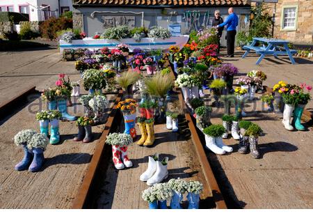 St Monan's, Schottland, Großbritannien. Oktober 2020. Schönes sonniges Wetter im Welly Boot Garden in St. Monan's, Fife. Der Gummistiefel-Garten begann als Teil der Strategie des Dorfes, wunderschöne Fife und schöne Schottland Auszeichnungen zu gewinnen und ist jetzt eine Besucherattraktion in seinem eigenen Recht. Kredit: Craig Brown/Alamy Live Nachrichten Stockfoto