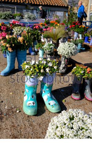 St Monan's, Schottland, Großbritannien. Oktober 2020. Schönes sonniges Wetter im Welly Boot Garden in St. Monan's, Fife. Der Gummistiefel-Garten begann als Teil der Strategie des Dorfes, wunderschöne Fife und schöne Schottland Auszeichnungen zu gewinnen und ist jetzt eine Besucherattraktion in seinem eigenen Recht. Kredit: Craig Brown/Alamy Live Nachrichten Stockfoto