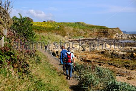 St Monan's, Schottland, Großbritannien. Oktober 2020. Wanderer genießen das schöne sonnige Wetter auf dem Fife Küstenweg in Richtung St. Monan's. Kredit: Craig Brown/Alamy Live Nachrichten Stockfoto