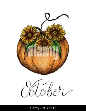 Handgezeichneter floraler Kürbis isoliert auf weiß, Herbst-Kürbis-Karte in Herbstfarben und Oktober-Text-Schriftzug, Herbst-Design mit Kürbis-Illustration Stockfoto