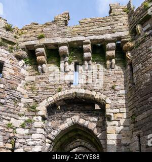 Beaumaris Castle, Anglesey, Wales, UK Stockfoto