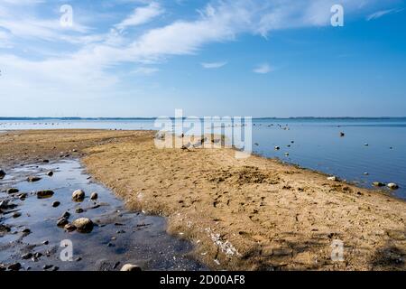 Ein Sandstrand an einem schönen See. Blauer Himmel und Wasser im Hintergrund. Bild von Ringsjon im Malmö in Südschweden Stockfoto