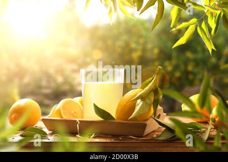 Frisch gepresster Saft auf einem Holztisch voller Zitronen mit Zitronenbäumen im Hintergrund und Sonnenlicht. Vorderansicht. Horizontale Zusammensetzung. Stockfoto