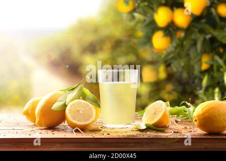 Frisch gepresster Saft auf einem Holztisch voller Zitronen mit Zitronenbäumen im Hintergrund und einem Sonnenstrahl. Vorderansicht. Horizontale Zusammensetzung. Stockfoto