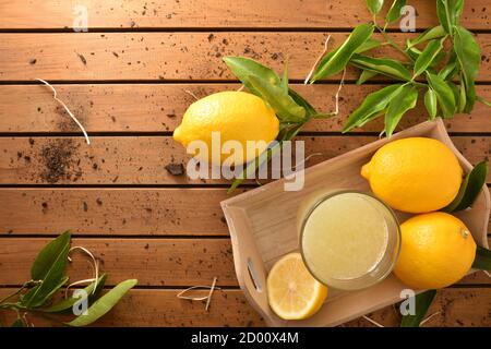 Frisch gepresster Saft auf einem Holztisch auf einem Tablett voller Zitronen. Draufsicht. Horizontale Zusammensetzung. Stockfoto