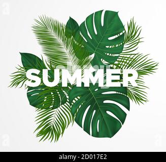 Sommer tropisches Design mit verschiedenen grünen Blättern. Vector Pflanzenhintergrund für Broschüre, Banner, Druck. Stock Vektor