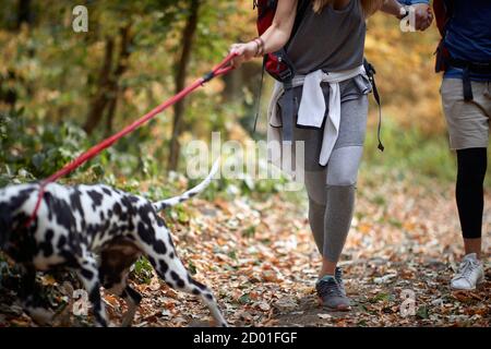 Paare wandern zusammen mit einem Hund; Active Lifestyle Konzept Stockfoto