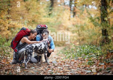 Paare wandern zusammen mit einem Hund; Active Lifestyle Konzept Stockfoto