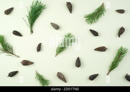 Viele Kegel und Kiefernzweige sind auf einem hellgrünen Hintergrund einzeln angeordnet. Hintergrund der Feiertage. Stockfoto