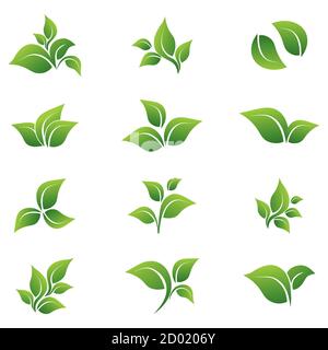 Blätter, Vektor, Symbol, vor einem weißen Hintergrund. Elemente für Bio-Logos. Stock Vektor
