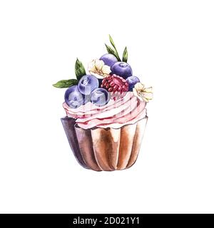 Aquarell Blaubeerkuchen. Botanische Abbildung. Hand gezeichnet Aquarell Gemälde Heidelbeere auf weißem Hintergrund. Stockfoto