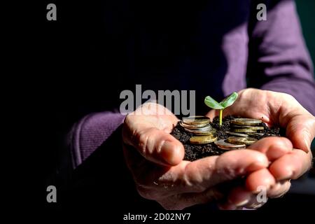 Mann Hände mit Sprossen in Hands.Saving Geld für wachsende Unternehmen und Zukunft concept.Sämlinge, die in Händen wachsen. Idee der Zeit Geld sparen Stockfoto