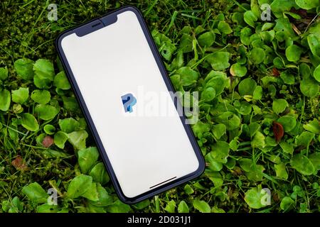 Tallinn / Estland - 28. September 2020: Schwarzes iphone mit Logo der PayPal-Anwendung auf dem Bildschirm. Grünes Gras Hintergrund. Kann als illustrativ verwendet werden Stockfoto