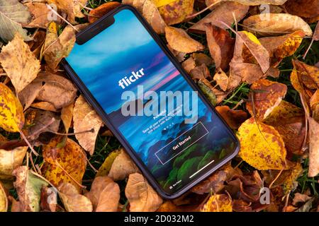 Tallinn / Estland - 28. September 2020: Schwarzes iphone mit Logo von Social Media Flickr auf dem Bildschirm. Herbst verlässt den Hintergrund. Kann als Illustration verwendet werden Stockfoto