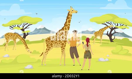 Afrikanische Expedition flache Vektor-Illustration. Giraffen in der Savanne. Frau und Mann Touristen beobachten südlichen Kreaturen. Grünes Savannenfeld mit Bäumen Stock Vektor