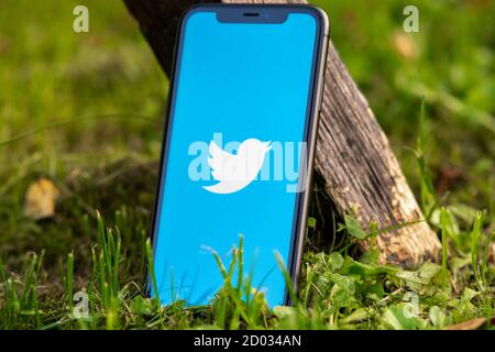 Tallinn / Estland - 28. September 2020: Schwarzes iphone mit Logo der sozialen Medien Twitter auf dem Bildschirm. Grünes Gras Hintergrund. Kann als Illustration verwendet werden Stockfoto