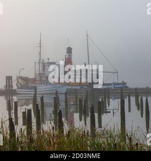 SS Master Dampf angetrieben Schlepper an einem nebligen Morgen in Steveston British Columbia Kanada Stockfoto