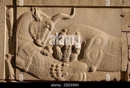 Bas-Relief Schnitzereien an Persepolis in Schiraz, Iran Stockfoto