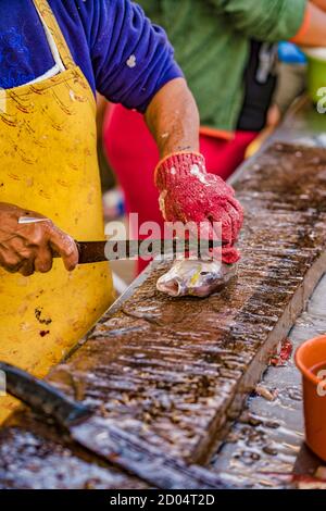 Puerto Lopez, Ecuador - September 12, 2018 - Man reinigt die frisch gefangenen Fisch, der dem Kunden am Strand verkauft werden. Stockfoto