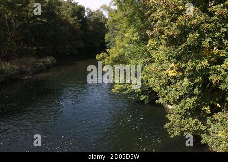 Ein ruhiger Fluss mit überwucherten grünen Ufern Stockfoto