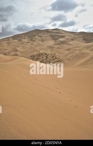 Bewegte und stationäre Sanddünen-Badain Jaran Wüste. Alxa Plateau-Innere Mongolei-China-1061 Stockfoto