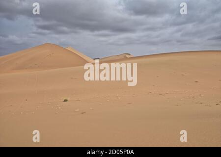 Bewegte und stationäre Sanddünen-Badain Jaran Wüste. Alxa Plateau-Innere Mongolei-China-1062 Stockfoto