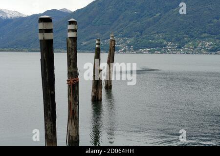 Hölzerne Anlegepfosten oder Masten mit Metallplatte im Wasser Maggiore in Locarno, Schweiz mit Bergen auf dem Hintergrund und bedeckt installiert. Stockfoto