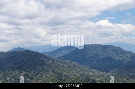 Hügel mit dichtem Dschungel im Nationalpark bedeckt. Malaysia. Stockfoto