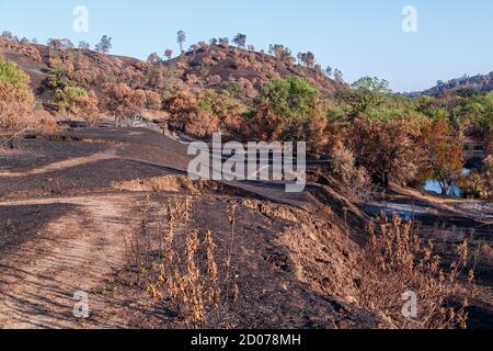 Erholungsgebiete am Flussufer, die durch ein Waldfeuer verwüstet wurden. Stockfoto