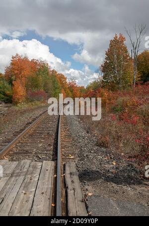 Bahngleise, die durch einen Wald mit bunten Herbstblättern kurven Stockfoto